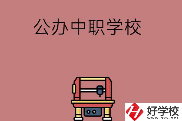 長沙可以學計算機應用專業(yè)的公辦中職學校有哪些？