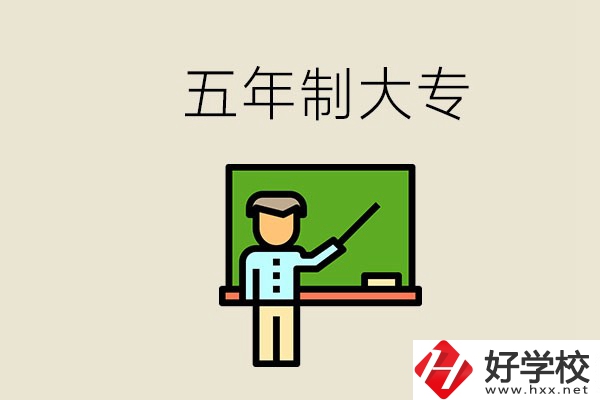 岳陽有哪些五年制大專？畢業(yè)了怎么發(fā)展？