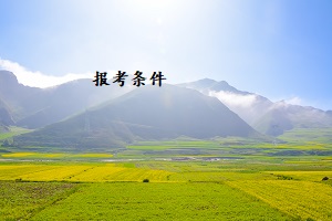 報考條件