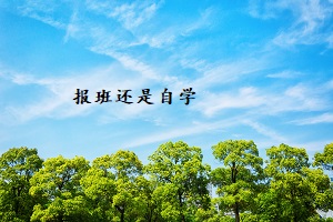 報班還是自學