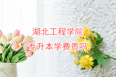 專升本學(xué)費(fèi)