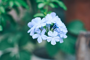 擴(kuò)招后報(bào)考人數(shù)是否會(huì)激增？