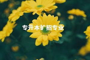 今年普通專升本擴招專業(yè)有哪些？預計哪些專業(yè)將成熱門專業(yè)？