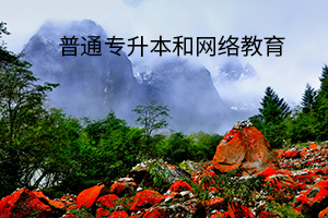 普通專升本和網絡教育