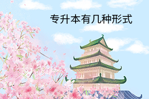 專(zhuān)升本有幾種形式