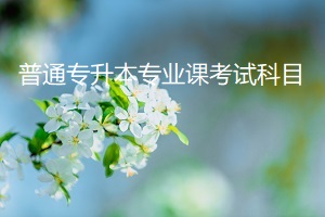 普通專升本專業(yè)課考試科目