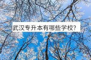 武漢專升本有哪些學校？