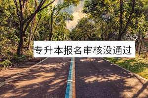 專升本報名審核沒通過