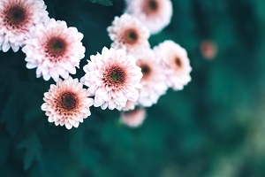 非全日制專升本的第一學(xué)歷是本科嗎？