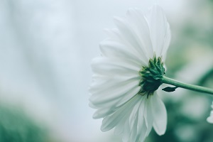 全日制專升本的高等數(shù)學(xué)怎么復(fù)習(xí)？