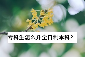 ?？粕趺瓷罩票究?？已經(jīng)畢業(yè)了，還能報考普通專升本考試嗎？