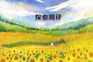 探索規(guī)律