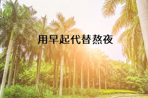用早起代替熬夜