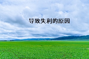 導(dǎo)致失利的原因