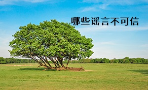 哪些謠言不可信