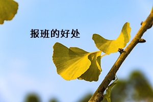 報班的好處