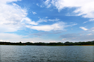 突顯關(guān)鍵句