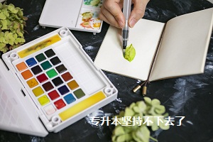 專升本堅持不下去了