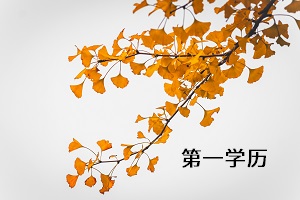 第一學(xué)歷