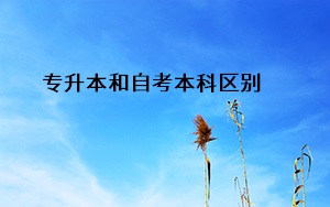 專升本和自考本科區(qū)別