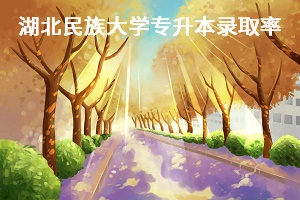 湖北民族大學(xué)專升本錄取率
