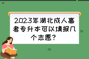 2023年湖北成人高考專升本可以填報幾個志愿？